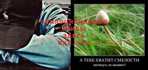соль курить ск Арсеньев