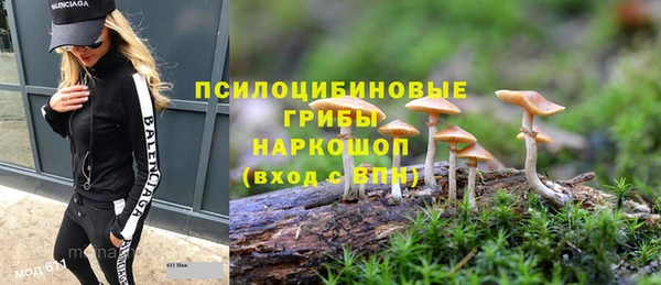 прущий лед Алексин
