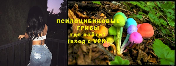 прущий лед Алексин